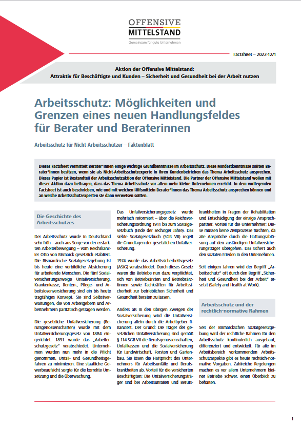 Arbeitsschutz: Möglichkeiten und
Grenzen eines neuen Handlungsfeldes
für Berater und Beraterinnen